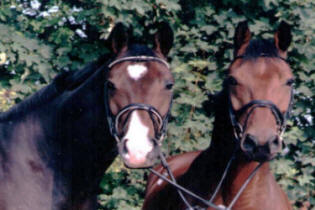 Laudatio T und Mr.Medoc